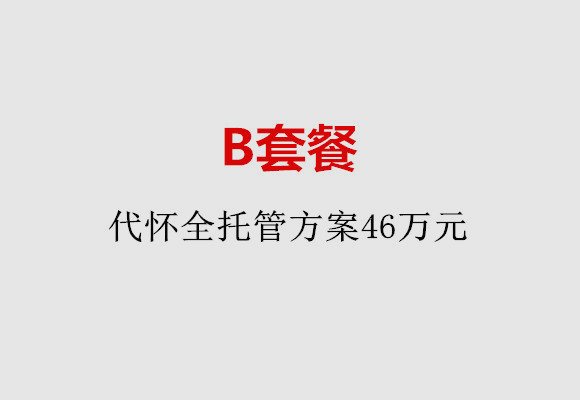 郑州B套餐：代怀全托管方案46万元